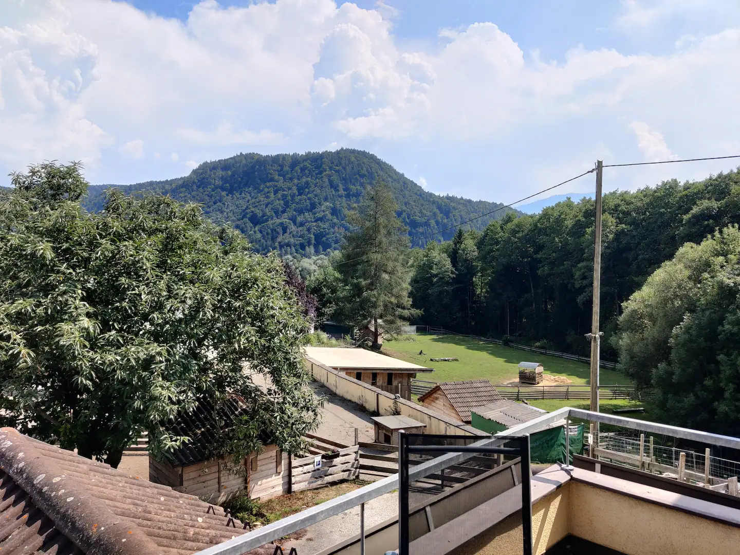 114052aa 3a12 4214 9522 b77f2c7e077e