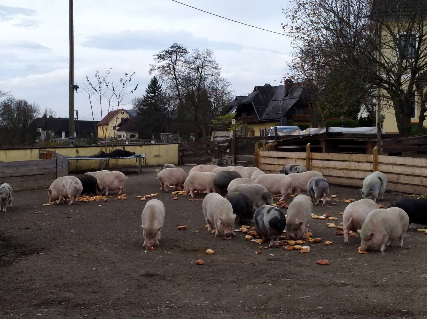 74b557c6 2be4 4fba 8c6d 0dacec249c3e