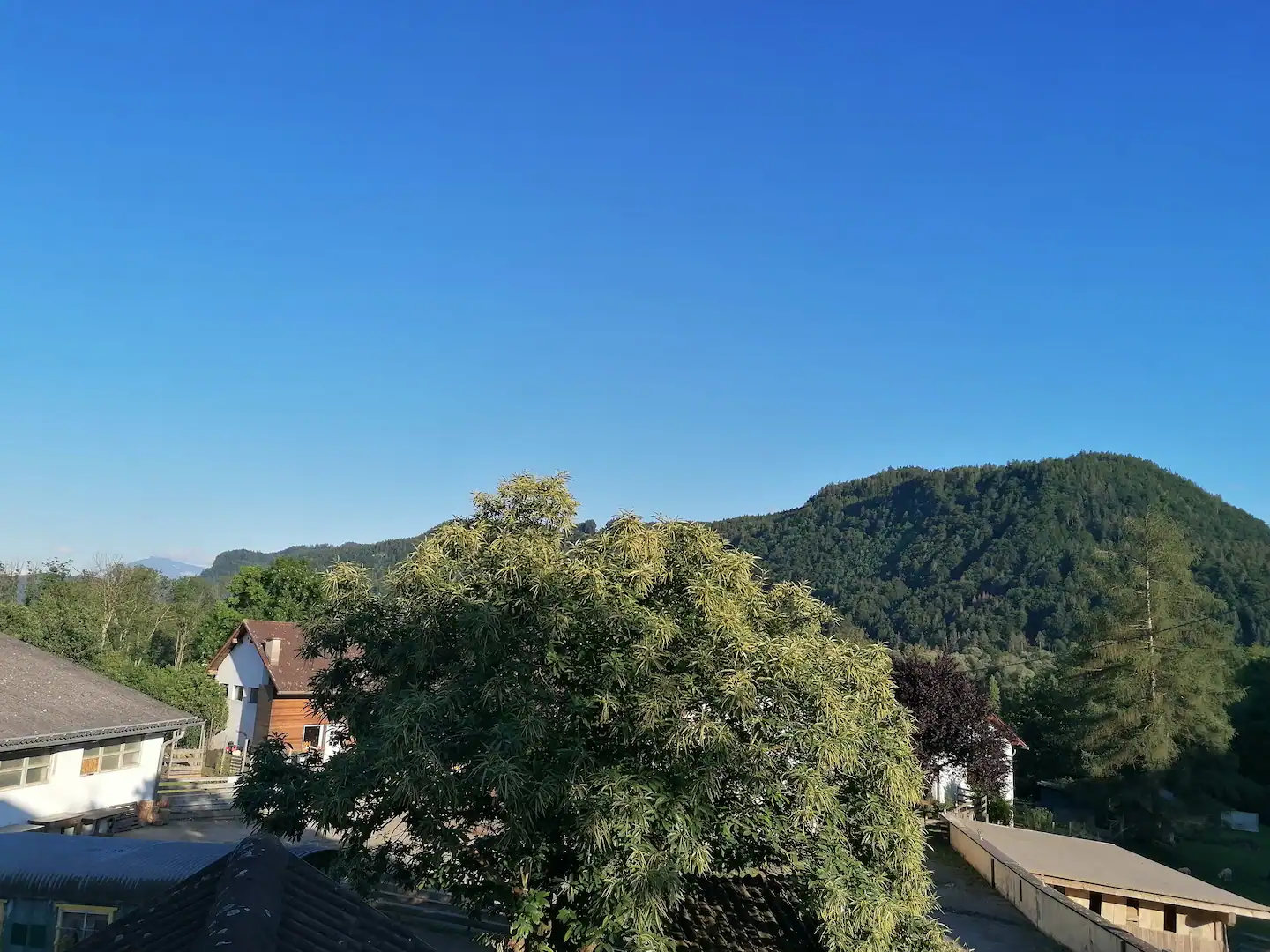 77510be7 c64d 497f 99fa 6bb921cef5e5