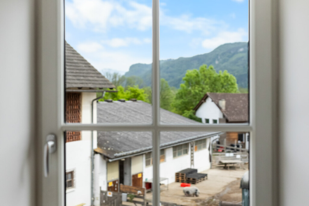 Schaf Aussicht 109