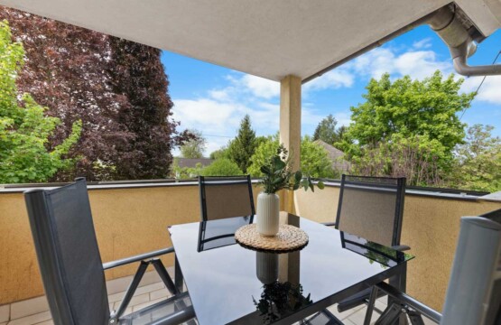 Schaf Terrasse 096