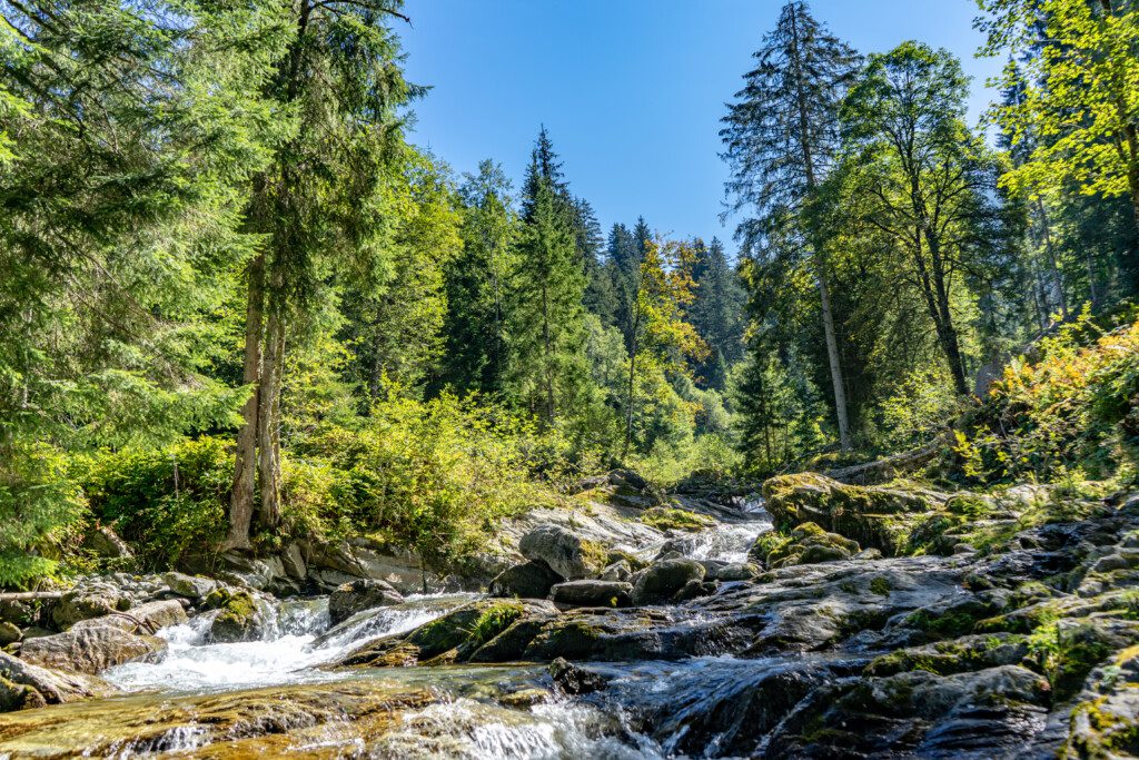 Wandern Wasser Herbst Bach (c) Kitzbuehel Tourismus